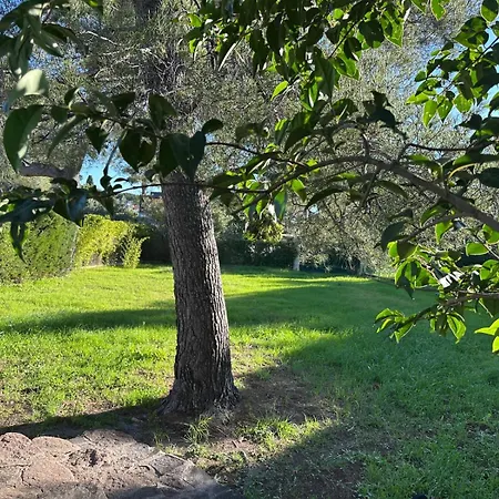 Le Charme Bleu D'azur