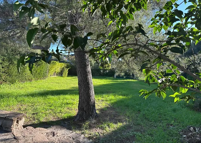 Le Charme Bleu D'azur